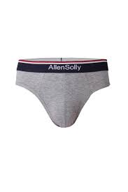 Allen Solly Innerwear Allen Solly Grey Brief For Men At Allensolly Com