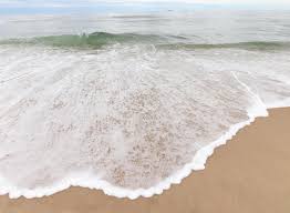 Jewish News - August 14, 2023 Issue by United Jewish Federation of  Tidewater - Issuu