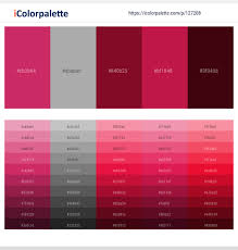 Purple and red palettes with color ideas for decoration your house, wedding, hair or even nails. 27 Latest Color Schemes With Medium Violet Red And Dark Red Color Tone Combinations 2021 Icolorpalette