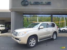 Image result for Satin Cashmere 2011 GX