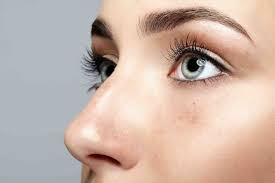 Behind the nose are the olfactory mucosa and the sinuses. Common Nose Shapes Concerns That Nose Surgery Can Help Gcps