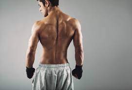 Les principaux muscles du bas du dos à étirer sont : Comment Muscler Le Bas Du Dos Conseils Et Exercices