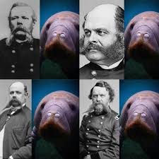 Or perhaps you prefer a more subdued but. Civil War Facial Hair Oh The Hue Manatee Album On Imgur