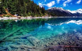 We're pretty sure you will find your perfect wallpapger from our nature category here. 4k Nature Wallpapers Top Free 4k Nature Backgrounds Wallpaperaccess