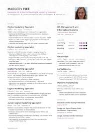 There are 3 main resume formats: Digital Marketing Specialist Resume Examples Expert Tips