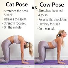 Pin On Yoga For Lower Back Pain