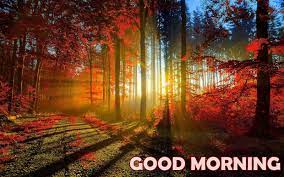 Beautiful Good Morning Nature Wallpaper 07271 Wallpaperspick Com Landscape Wallpaper Scenery Wallpaper Photography Backdrop Paper
