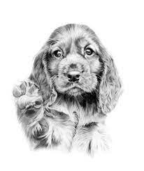 Epingle Par Susanne Grell Sur Dieren Dessin De Chien Dessin Chien Dessin Caricature