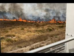 Momenti di paura in pieno centro a bari: 3wabzmgpi Mm2m