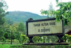 Dan sebagai kompensasi atas bantuan dana yang. Taman Hutan Raya Di Indonesia Kriteria Tujuan Manfaat