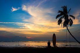 Books are some of the heaviest items there are. The 5 Most Affordable Cities In Hawaii Livability