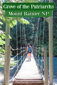 Maybe you would like to learn more about one of these? Grove Of The Patriarchs Trail Mount Rainier National Park Park Ranger John