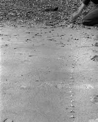 Bildergebnis für Maria Laet