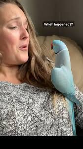 Parrots Done With Our Conversation