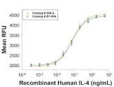 Recombinant Human IL-4 Protein 204-IL-010: R&D Systems