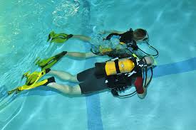 Piscine Du Triolo Equipements Et Animations Ville De Villeneuve D Ascq