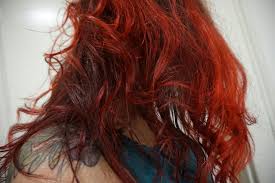0 results found for arctic fox hair dye wrath. Arctic Fox Cruelty Free Vegan Hair Color Zosomorgan