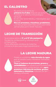 Todo Lo Que Tienes Que Saber Sobre La Lactancia Materna Gobierno Del Estado De Jalisco