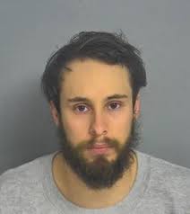 Springfield man pleads guilty in girlfriend's shooting death