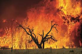 The Inferno The New Yorker