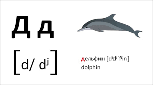 Russian alphabet (aka the cyrillic alphabet) consists of 33 letters: Learn The Russian Alphabet With Examples And Pronunciation Cyrillic Alphabet Youtube