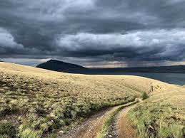 Pictures make it real — Elise Wallace