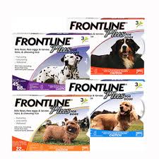 Check spelling or type a new query. Frontline Plus Flea Tick For Dogs Four Your Paws Only