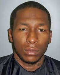 Third horrific animal abuse case in last few weeks in same Upstate county  leads to push for new laws