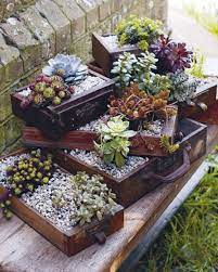 Piante e fiori sono il modo più veloce, economico e scenografico per decorare interni ed esterni delle nostre case, a patto di scegliere varietà adatte al clima al tipo di esposizione che possiamo offrire. 14 Idee Su Composizioni Con Piante Grasse Piante Grasse Piante Composizione Piante Grasse