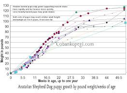 71 Reasonable Dog Weight Charts