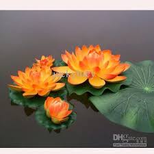 Orange Lotus Flower Beautiful Flowers Amazing Flowers Artificial Flowers