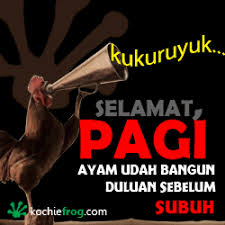 We regularly add new gif animations about and. 54 Gambar Animasi Lucu Bergerak Format Gif Kochie Frog Cartoon Jokes Lucu Gambar