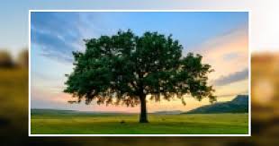 Charles Whitaker Obituary January 3, 2021