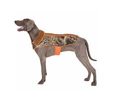 Realtree Camo Jackets For Dogs Lots Of Colors Pets Dogs And Puppies Dogs