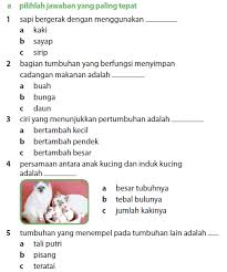 Pin Di Microsoft Word