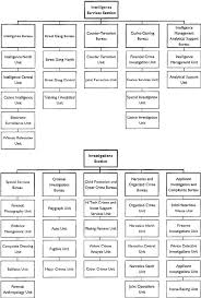 organizational chart of the njsp investigations branch prior