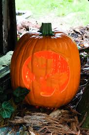 We did not find results for: Dirty Duo Pumpkin