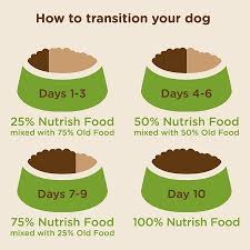 Rachael Ray Nutrish Natural Dry Dog Food Feedmyolddog Com