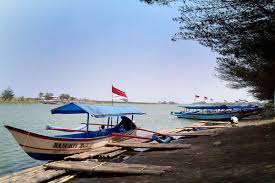 Seperti yang kita ketahui laguna ini membagi kawasan pantai menjadi dua. Perikanan Kulonprogo Ribuan Ikan Mati Di Laguna Pantai Glagah