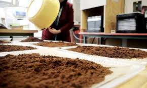 Richtig Und Vielfaltig Kaffeesatz Als Dunger Im Garten Anwenden Kaffeesatz Hausmittel Gegen Unkraut Und Kompost Herstellen