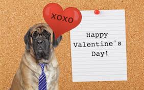 25 funny valentine's day cards that are more lol than xoxo. French Bulldog Valentine S Day Cards Sloppy Kiss Cards