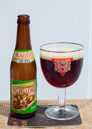 Het Kapittel Watou Pater Belgian Strong Ale 6 0 Abv De Dolle Brouwers Belgica Beer Beer Bottle Lager