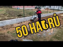 Image result for Živý plot z habru