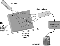 What are the components of a ccd? Https Onlinelibrary Wiley Com Doi Pdf 10 1111 J 1740 8261 2007 00326 X