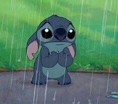 If you're looking for the best stitch wallpaper then wallpapertag is the place to be. Poor Stitch In The Rain Stitch Cartoon Stitch Disney Stitch Pictures