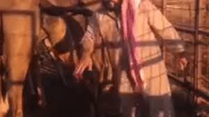 The hadith of camel urine: Arab Guy Drinks Camel Urine Washes His Face In It On Make A Gif