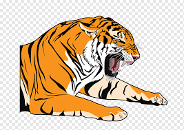 Tiger baby tigermutter trägt ein jungtier. Bengalische Tiger Farbung Zeichnung Tiger Tiere Bengalen Bengalischer Tiger Png Pngwing