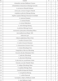 The alphabetizer sorts any list in alphabetical order. List Of The Benthic Diatoms Found In The Nisava Jerma And Temska Download Table