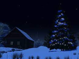 Feasting (picnics and fireworks are popular in warm climates); Christmas Tree At Night By Island Dog On Deviantart