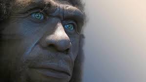 See more of uomo di neanderthal on facebook. L Uomo Di Neanderthal Usava Antibiotici E Conosceva Il Principio Attivo Dell Aspirina Ilforum